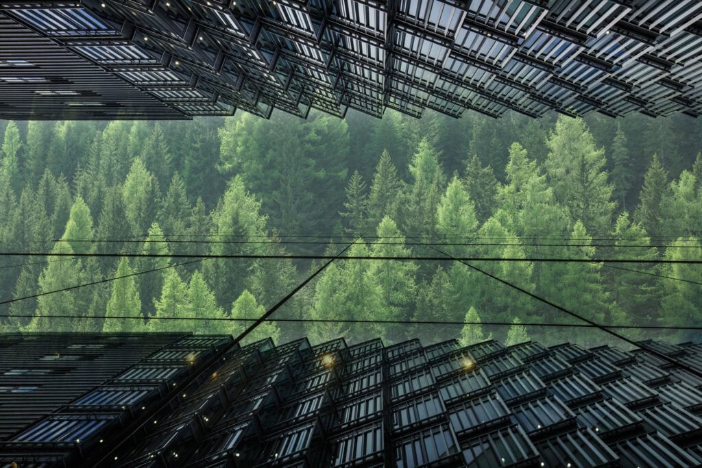 A dense green evergreen forest with horizontal power lines, framed by dark, angular modern architectural structures above and below.