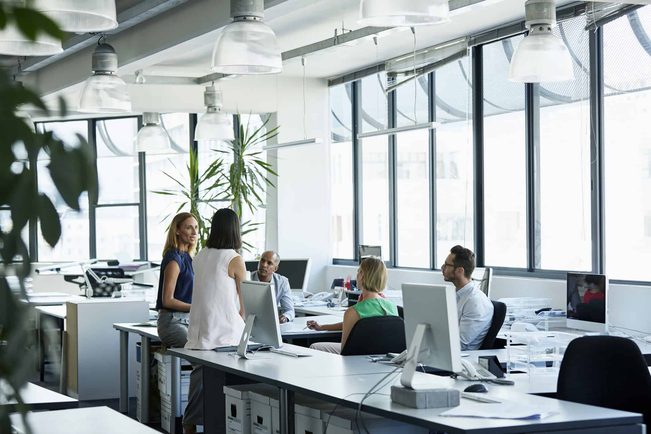 Four people working and collaborating in a bright, open-plan office with large windows and computers.