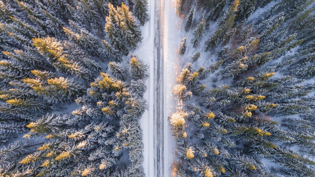 Aerial view of a snow-covered road cutting through a dense winter evergreen forest, with golden sunlight illuminating the tree tops.