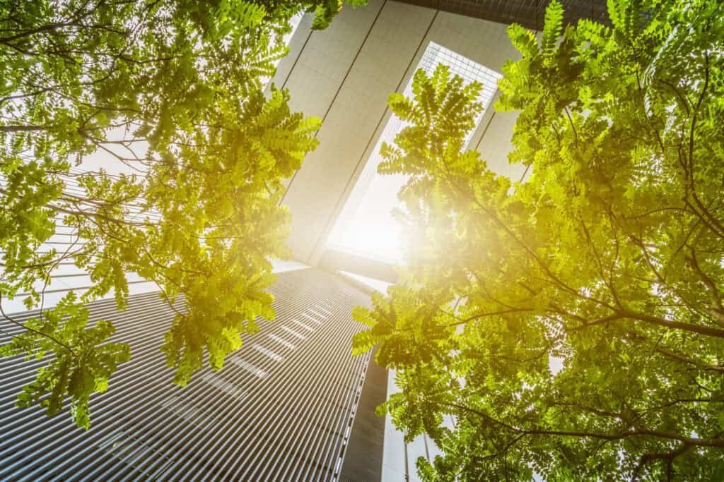 Low-angle view of bright green tree leaves framing modern skyscrapers under a sunny sky.