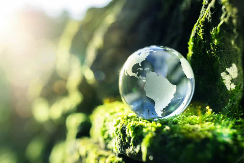 A clear glass globe with frosted continents (the Americas) rests on bright green moss. A bright light source is visible in the upper left background.