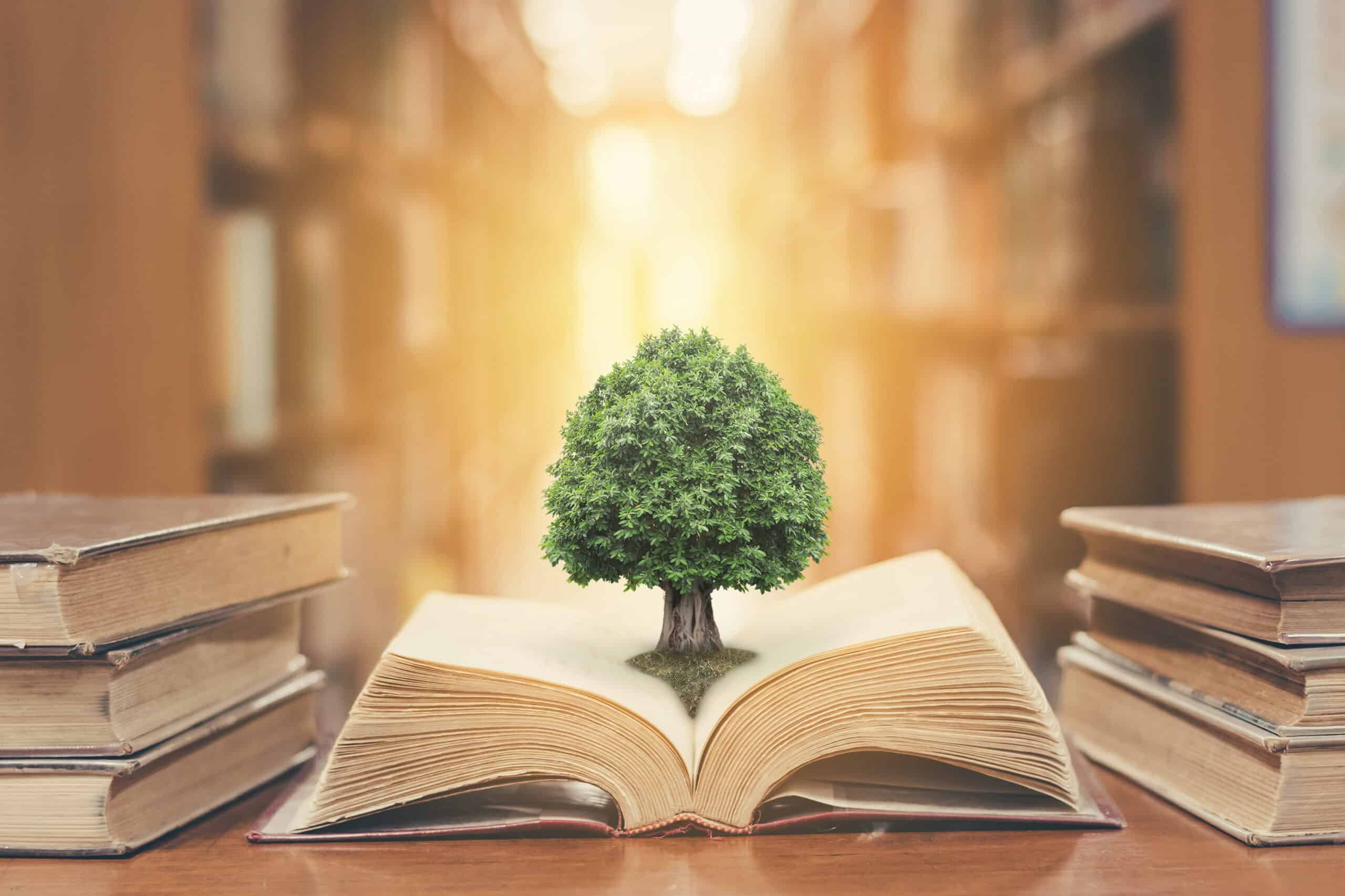 A small green tree growing from the center of an open book, flanked by stacks of old books on a wooden table in a blurred library setting.