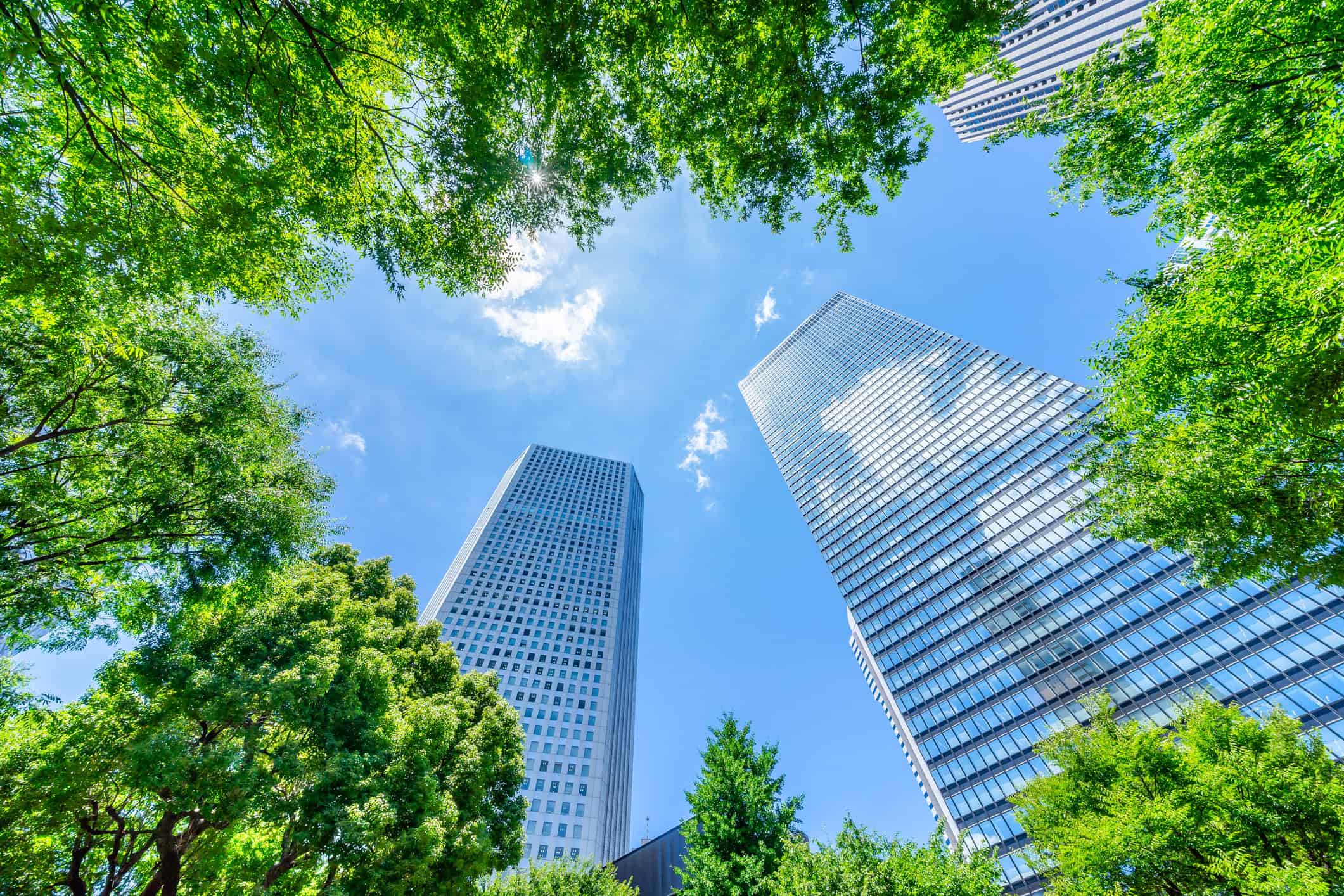 Two tall, modern skyscrapers with reflective glass facades, seen from a low angle against a bright blue sky with scattered clouds, framed by lush green tree leaves.