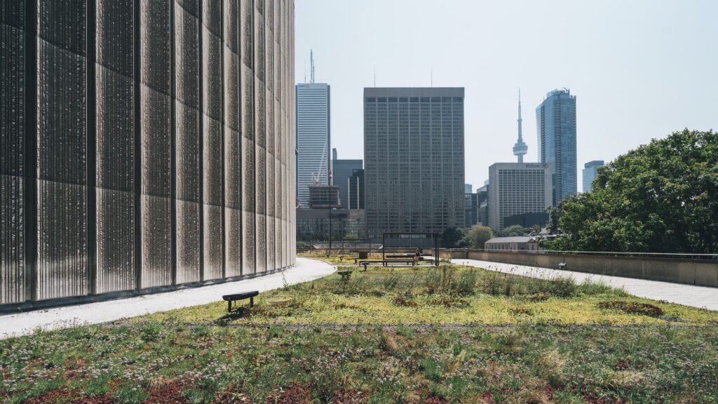 A rooftop garden with green plants and benches, next to a curved concrete building, overlooking a city skyline with skyscrapers and the CN Tower under a bright sky.