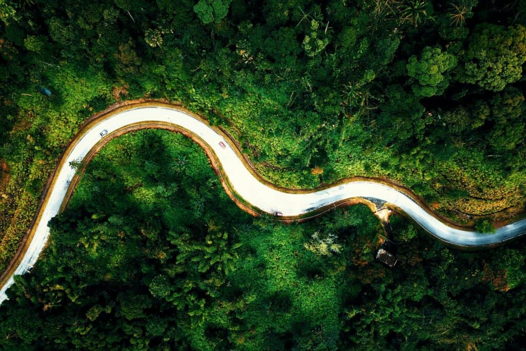 Aerial view of a winding road through a dense green forest with cars on it.