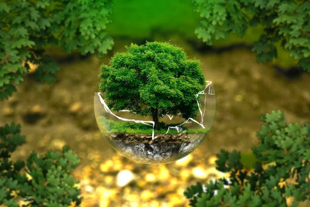 A green tree inside a broken glass sphere, surrounded by blurred green and yellow foliage.