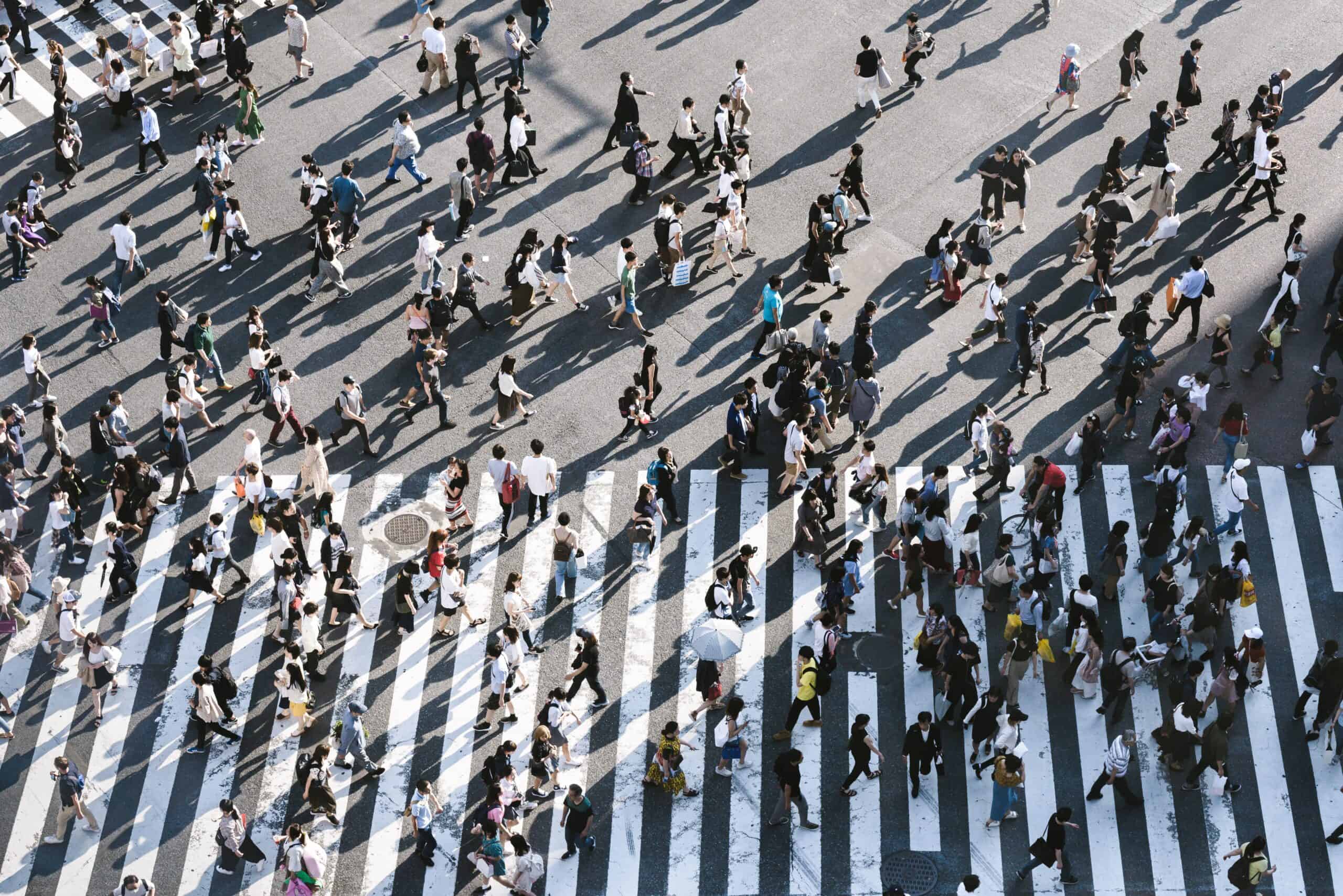 High-angle view of a large crowd of people crossing a street at a white-striped crosswalk, casting long shadows.
