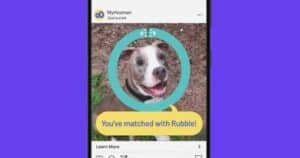 dog instagram post