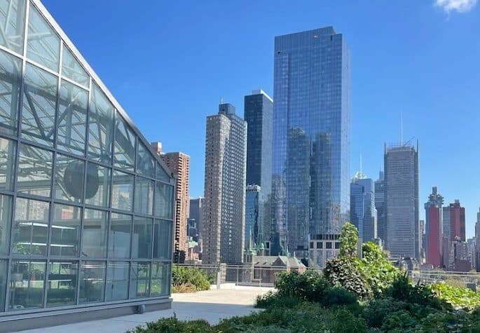 A rooftop garden with a large glass building on the left and a dense city skyline with tall skyscrapers in the background under a clear blue sky.