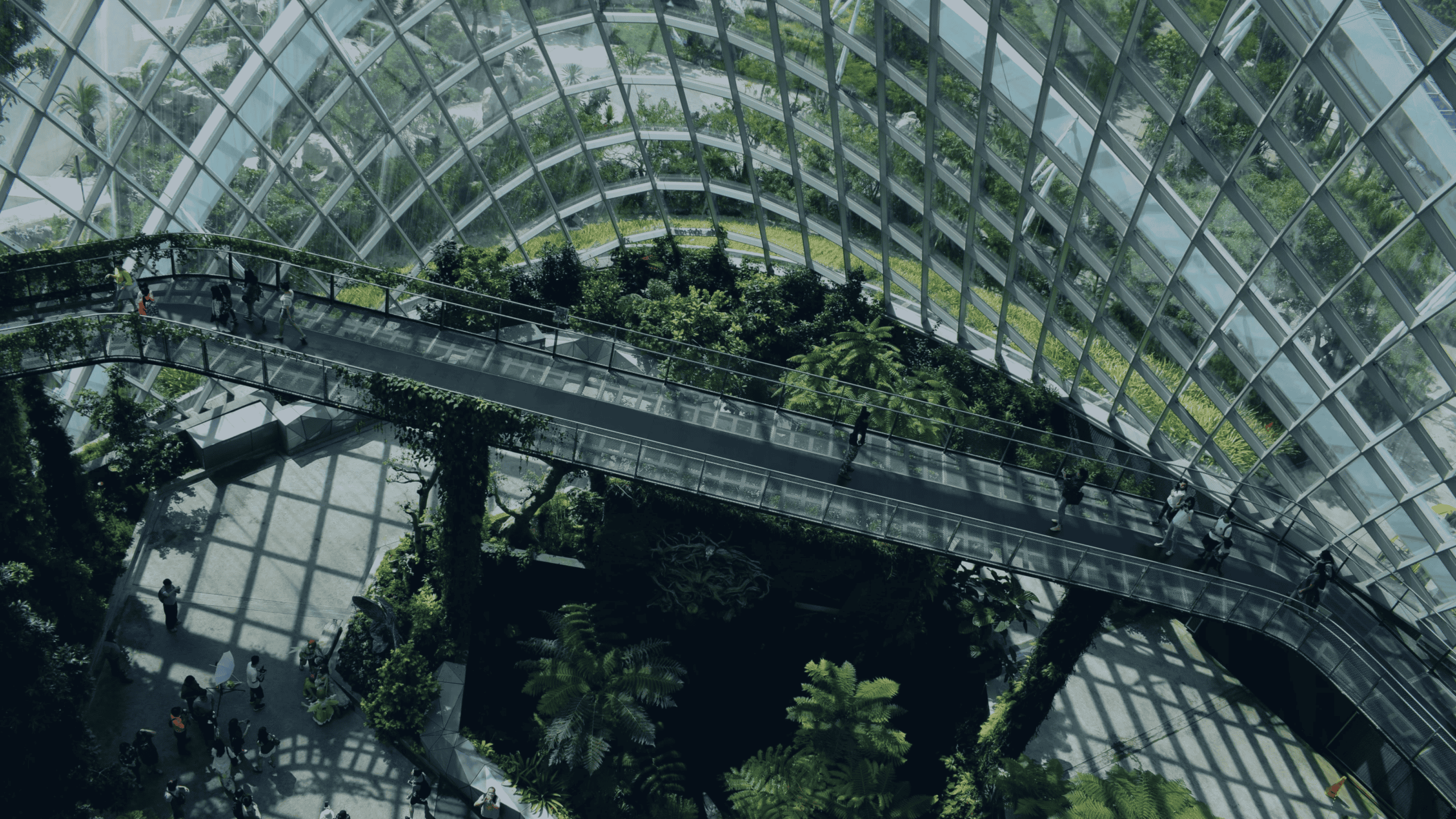 High-angle view inside a large glass conservatory with elevated walkways, lush green plants, and people.