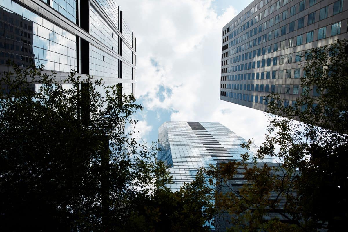 Low-angle view of three modern skyscrapers with glass and grey facades, framed by dark green tree leaves, against a cloudy sky.