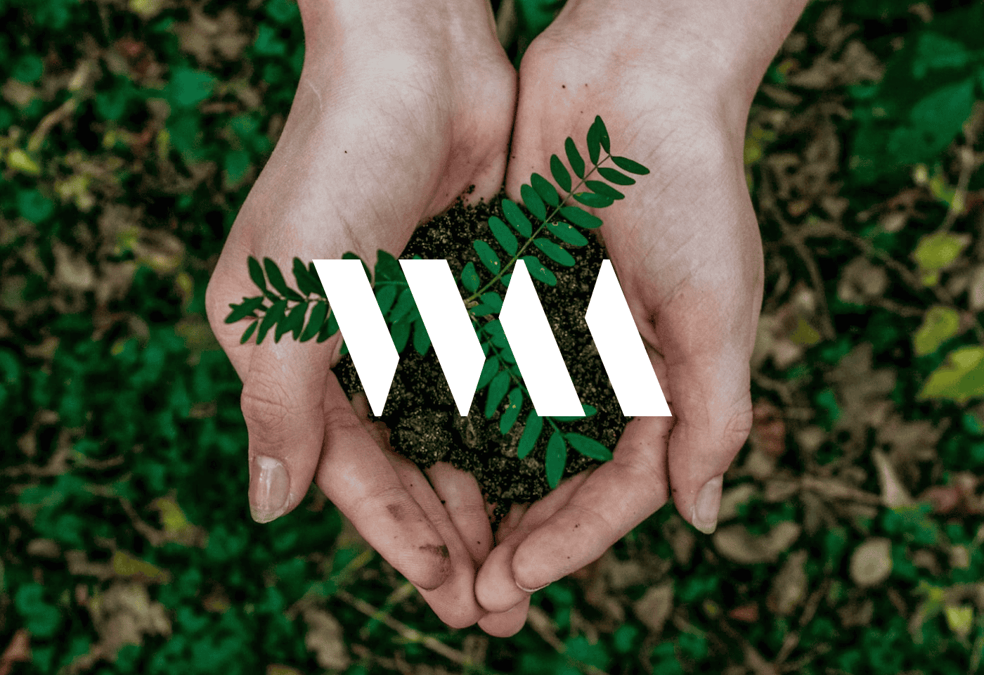 Two cupped hands holding a small plant growing from soil, overlaid with a white geometric graphic. Green foliage is blurred in the background.