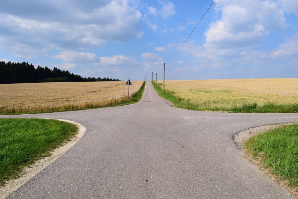 A paved road forks into three directions, surrounded by golden crop fields, with a forest in the background and utility poles lining the main path under a blue sky.