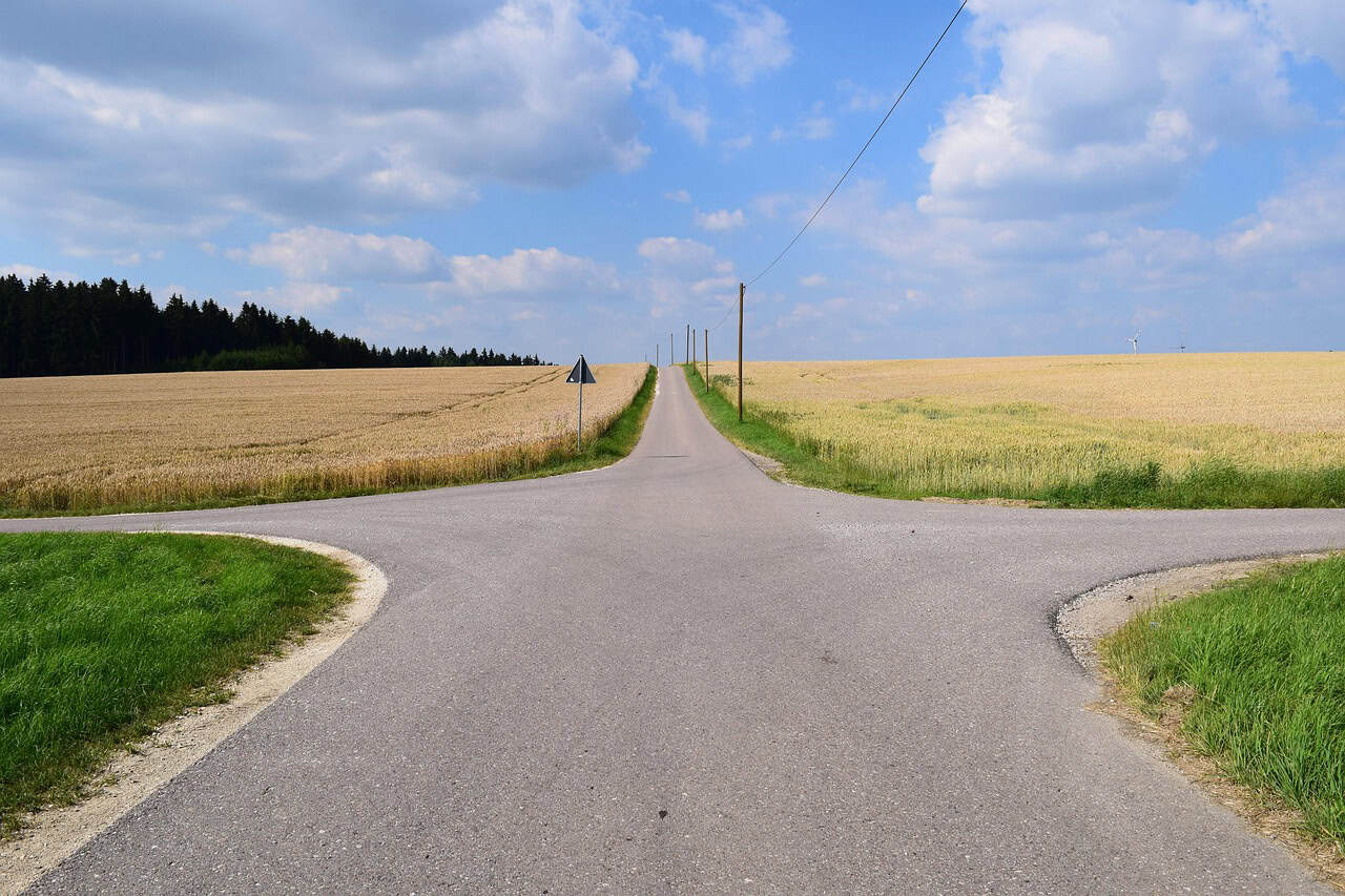 A paved road forks into three directions, surrounded by golden crop fields, with a forest in the background and utility poles lining the main path under a blue sky.