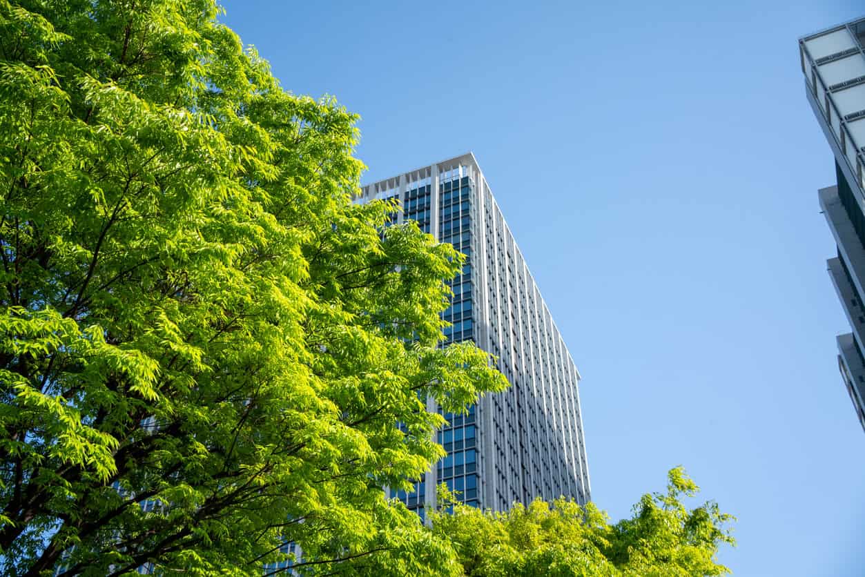 Bright green tree leaves in the foreground, with a modern skyscraper and clear blue sky in the background.