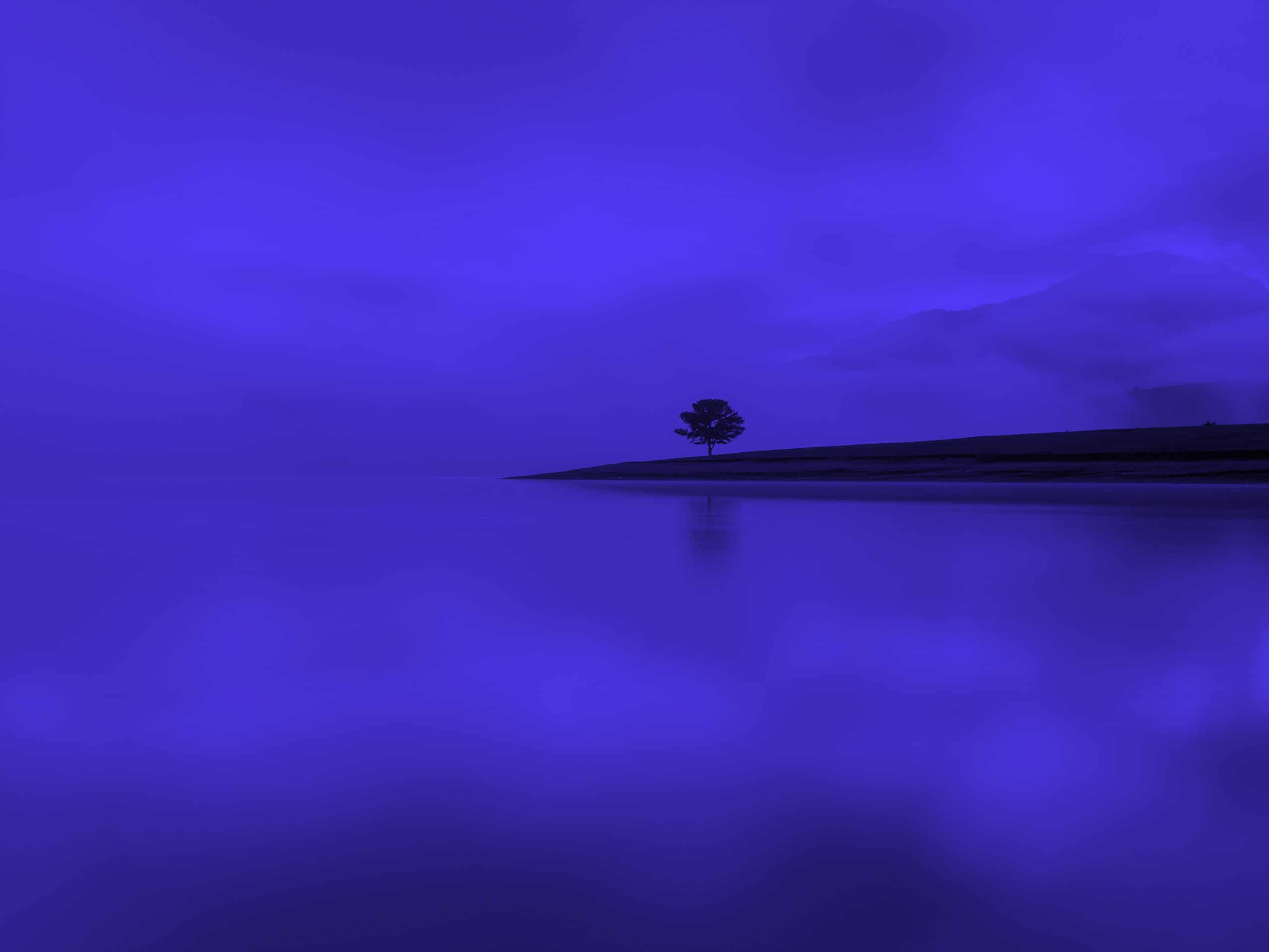 A deep blue monochromatic landscape featuring a single silhouetted tree on a bank beside a still lake, with misty mountains in the background.