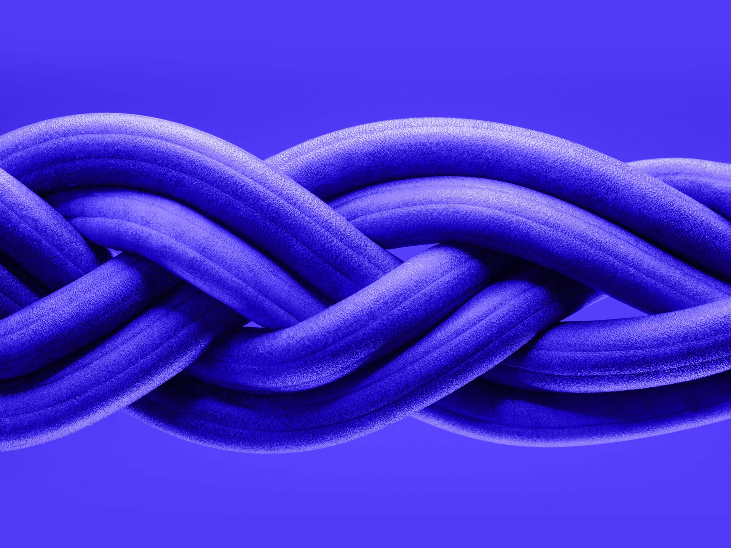 A close-up of a blue braided structure with textured, tubular strands against a blue background.