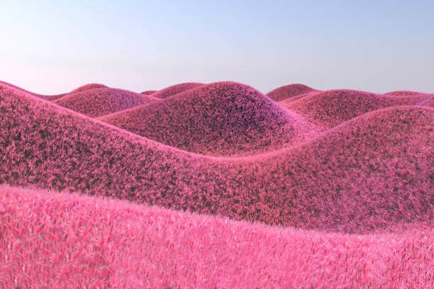 A digitally rendered landscape of rolling hills covered in bright pink grass under a pale blue sky.